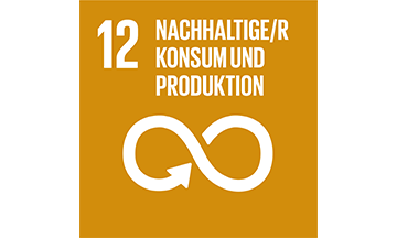 Icon mit dem Text nachhaltiger Konsum und Produktion